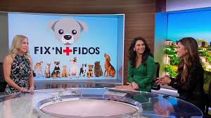 Kacey Montoya's Fix'n Fidos helps local pets in need