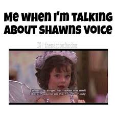 Shawn! on Pinterest | Shawn Mendes, Magcon and Shawn Mendes Quotes via Relatably.com