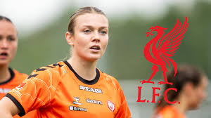 FotbollDirekt - News update