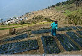 Image result for nepal landslide