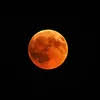 Apakah Strawberry Moon Termasuk Fenomena Gerhana? Ini Jawabannya, Ibu Hamil Harus Tahu! - Radar Mojokerto