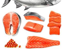 Image of Salmon fish
