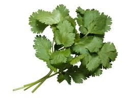 Hasil gambar untuk daun ketumbar segar