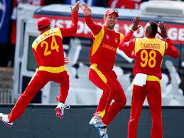 Image result for zimbabwe cricket team for world cup 2015 hd wallpapers