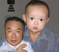 Image result for doge face swap