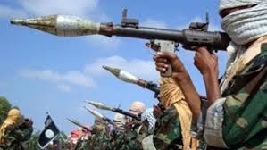 Image result for african militants