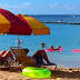 9 fun things in Honolulu: Seattle Times food writer finds old favorites ...