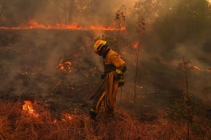 Wildfires rage across France and Spain, threatening Bordeaux's famed wine region as over 360,000 evacuated, with 250,000 displaced in France