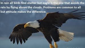 Eagle Motivational Quotes. QuotesGram via Relatably.com