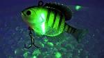 Understanding Why Glowing Fishing Lures Work - LandBigFish