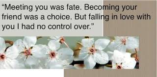 Love Triangle Quotes on Pinterest via Relatably.com