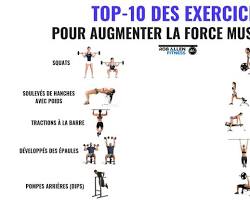 Image de Exercices de force