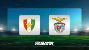 Fanatik - News update