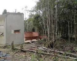 Imagem de Desmatamento para construção civil
