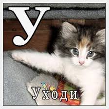 images?q=tbn:ANd9GcQhEiBI6BTu5zGVvWW5VqfEZIofPo_JCkHdWitpCw_ptKIB3HTqUg