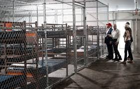 Alligator Alcatraz Unmasked: Inside Florida’s Controversial Detention Site and the Political Firestorm