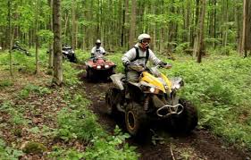 Hasil gambar untuk atv