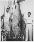 Ted Williams and the Atlantic Salmon -