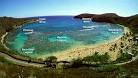 Hanauma Bay Snorkeling Adventure Half-Day Tour - Oahu Viator