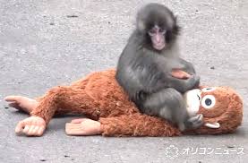 %E5%B8%82%E5%B7%9D%E5%B8%82%E5%8B%95%E6%A4%8D%E7%89%A9%E5%9C%92