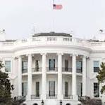 Trump economic adviser Cohn quits