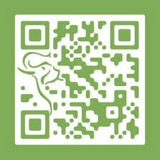 external image images?q=tbn:ANd9GcQhMIPdNdvVVcHWVte6SetEMAXOBeS24SScIeGSuU3eVoF7MDnM