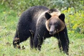 News source: Yahoo!ニュース