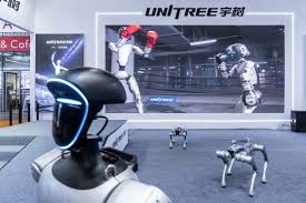 China’s backflipping robots leap to blockbuster stock market debut in latest sign of AI boom
