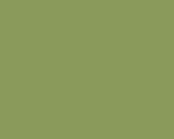 Image of Moss Green color