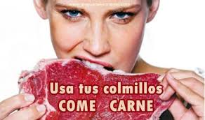 Lo que da color rojo a la carne no es la sangre sino una proteína llamada Mioglobina, la carne viva es color púrpura, al contacto del oxígeno la carne se ... - comiendo-carne