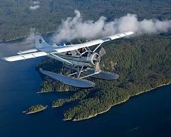 Image of Vuelo escénico sobre los fiordos brumosos