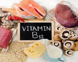 Image of Vitamin B12 rich foods: meat, fish, eggs, dairy products