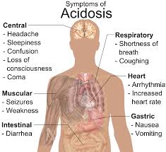 نتيجة بحث الصور عن ‪Treatment of respiratory rate‬‏