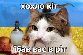 images?q=tbn:ANd9GcQhsYcd7wmZv37W-EIKe-eigiddryuMehxk_q8zf-gfMgG526cPVg