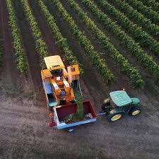 La remorque d’un tracteur se renverse, un vendangeur de 17 ans tué et neuf blessés dont deux graves — Sud Ouest