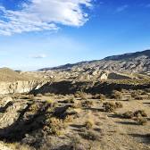 Tabernas