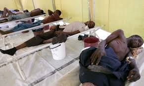 Image result for lassa fever pictures