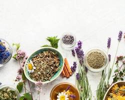 Hình ảnh về Hình ảnh các loại dược liệu