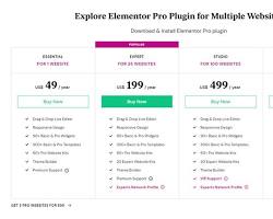 Elementor Expert Plan pricing