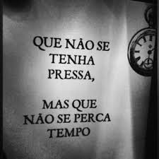 Resultado de imagem para frases engraçadas e inteligentes