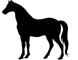 Image result for HORSE