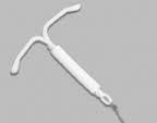 Image result for IUD image