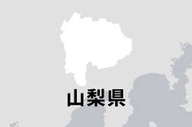ｄメニューニュース - News update