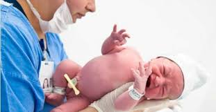 Resultado de imagem para imagens obstetricia
