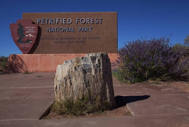 Petrified Forest National Park