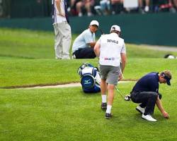 Image of Ball Moved by Natural Forces golf rule