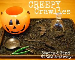 Halloween creepy crawlies