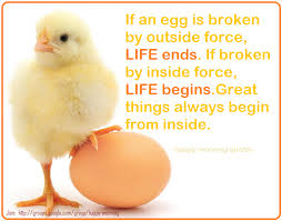 Egg Quotes. QuotesGram via Relatably.com