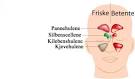 Konstant tett nese - Helse