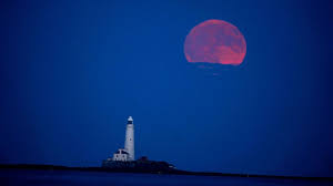 Strawberry Moon lights up global skylines — These viral images are unreal